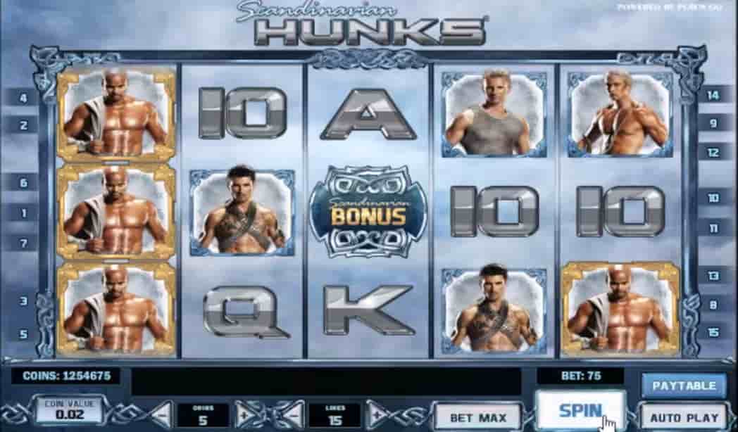 Scandinavian Hunks Screenshot 3