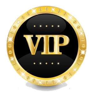 VIP Player Online Casino