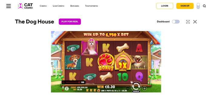 CatCasino ScreenShot 2